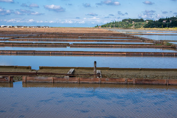 Secovlje Saltworks largest Slovenian salt evaporation pond on Adratic sea, natural and industrial...