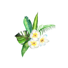 Watercolor tropical plant leaves and exotic plumeria flowers