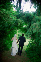 Fototapeta premium Bride and Groom Under Trees