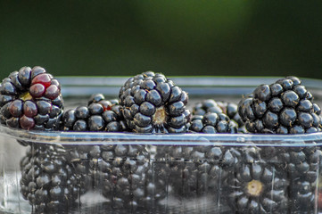 Closeup of fresh ,healthy and organic blackberry in a tray