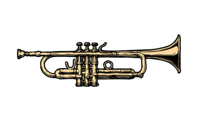 illustration of trumpet © Oleksandr Babich