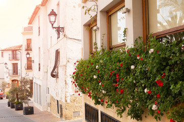 Red geranium flowers on a balcony on the street of the old town of La Nucia, Spain