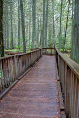 Glacier National Park