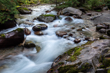 Lower Avalanche Gorge is one of the highlights of hikinh the Avalanche Lake trail in west Glacier, Glacier National Park.