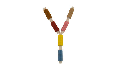 Isolated Font English or Latin Letter Y made of colorful spools of thread for sewing on white background