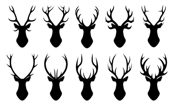 The head of a deer. Set of different deer horns on a white background. Vector graphics in a flat style on a transparent background for web sites