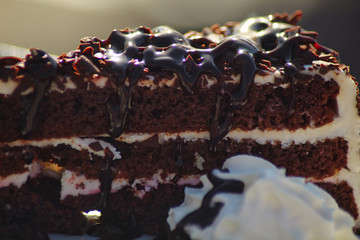 portion of chocolate cake in the sun