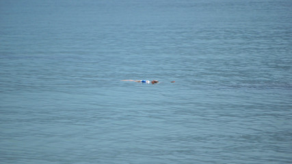 Fototapeta na wymiar people floating in the blue sea