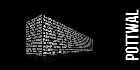 Pottwal © CrazyCloud