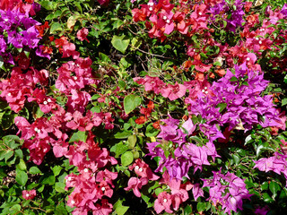 St. George's in Grenada - GND