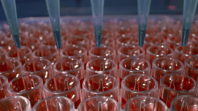 Automated DNA Processor real-time PCR cycler.  PCR robotic machine for molecular and genetic research laboratory