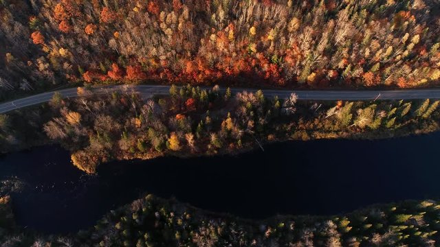 A car passes on a small road surrounded by a colourful autumn forest. Filmed in Quebec, Canada.