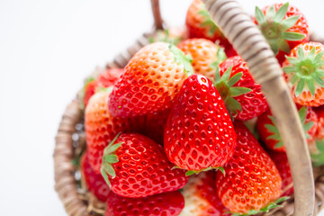 イチゴ　かごに入った新鮮な苺