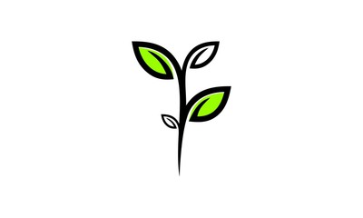 elegant leaf logo vector