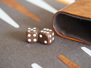 Backgammon Board with Two Dice