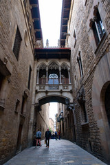 Fototapeta na wymiar Bishop's Bridge (El Pont del Bisbe) in Barcelona's Gothic Quarter, Spain