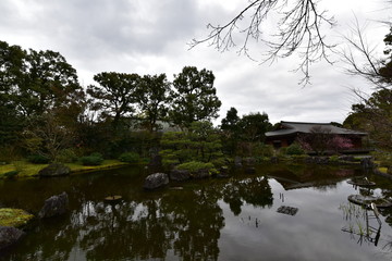 京都の梅の城南宮
