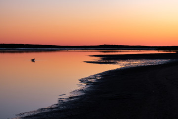 Obraz premium Golden sunset on a Martha's Vineyard beach - Katama Bay