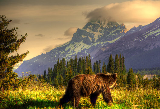Banff and the Canadian Rockies