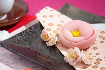 梅の花の練り切り（和菓子、日本の伝統菓子）と紅梅、2月の梅の季節。	