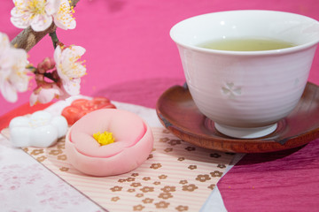 梅の花の練り切り（和菓子、日本の伝統菓子）と紅梅、2月の梅の季節。	