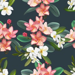 plumeria flowers seamless pattern vector illustration