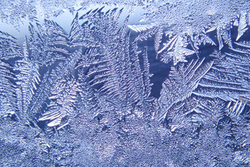 Photographing macro ice on the glass in winter Patterned like leaves