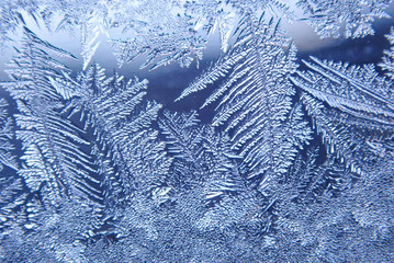 Photographing macro ice on the glass in winter Patterned like leaves