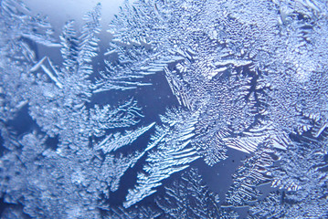 Photographing macro ice on the glass in winter Patterned like leaves