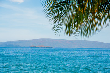 Fototapeta na wymiar The island of Molokini, Maui, Hawaii with Palm Leaves