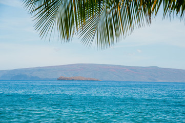 Fototapeta premium The island of Molokini, Maui, Hawaii with Palm Leaves