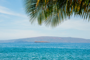 Fototapeta na wymiar The island of Molokini, Maui, Hawaii with Palm Leaves