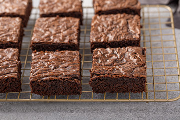 Homemade fudgy brownies freshly baked on a baking rack