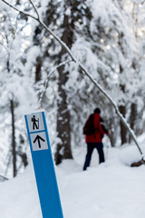 Hiker on a trail in the rocky mountains. Hiking in the snow background. Lifestyle and healthy outdoor exercise concept