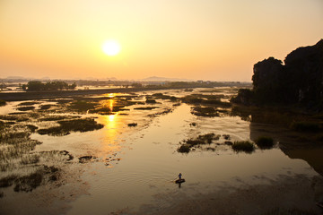 Egret flocks in Van Long Natural Reserve, Vietnam.