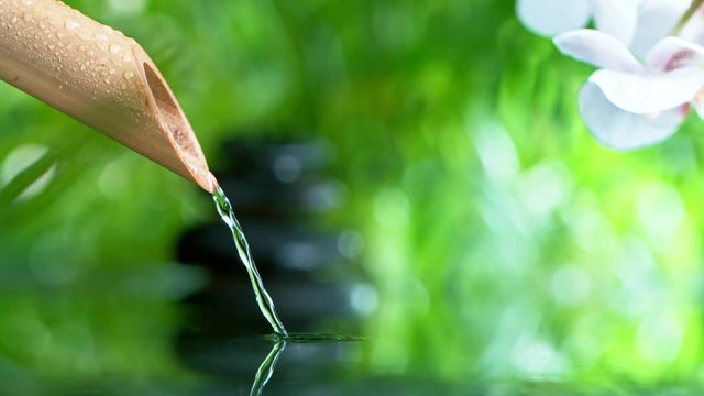 Super slow motion of leaking water stream from bamboo, spa and wellness concept. Filmed on very high speed cinema camera, 1000 fps.