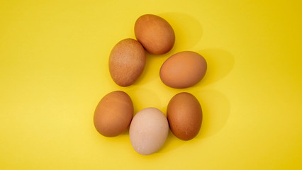 Close-up view of raw chicken eggs in an egg box on color background yellow