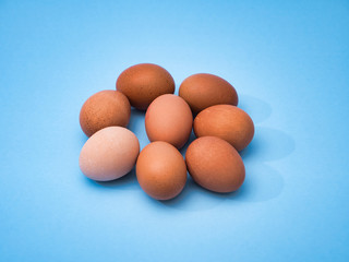 Close-up view of raw chicken eggs in an egg box on color background blue