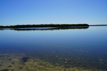 The landscape of Florida palm harbor beach