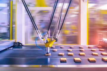 robot with vacuum suckers with conveyor in Production of cookies in a manufacture factory for the food industry