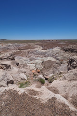 Blue Mesa section of Petrified Forest National Park, Arizona on clear cloudless summer day.