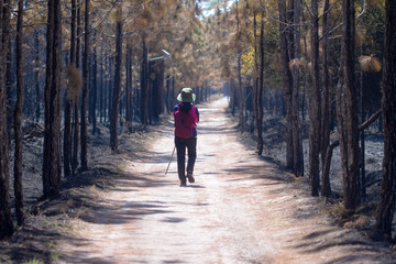 Obraz premium woman walking in forest