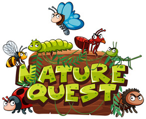 Font design for word nature quest with many bugs in background