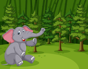 Scene with wild elephant in the green forest