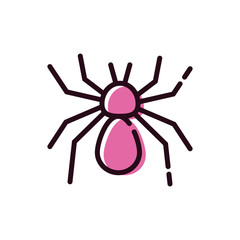 spider animal wild isolated icon