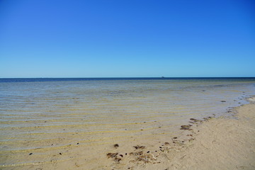 The landscape of Florida palm harbor beach