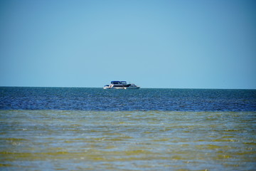Obraz premium Florida palm harbor beach landscape