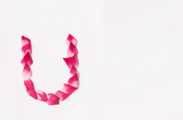 Rose petal letter U Background image, Rose Petal letters, alphabet, characters create using rose petal on white background