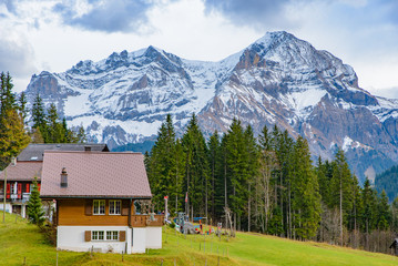 Fototapeta na wymiar Traditional Swiss style houses on the green hills with forest in the Alps area of Switzerland, Europe