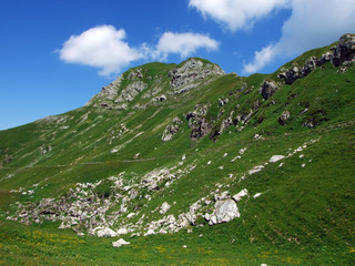 Grassy alpine valley Höttatal (Hottatal or Hoettatal) below the peak of Augstenberg and in the...
